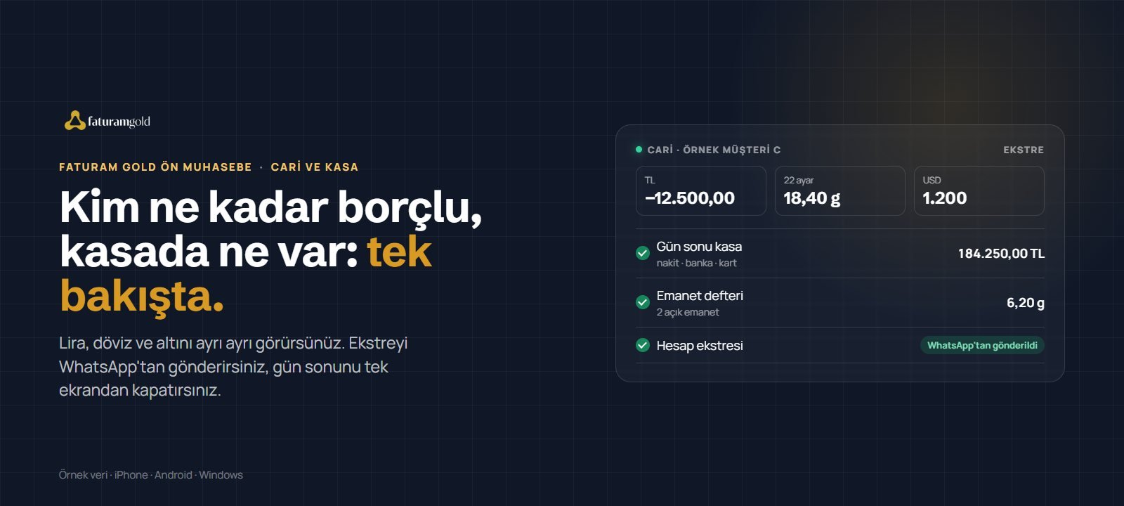Faturam Gold Ön Muhasebe: cari ve kasa tek bakışta